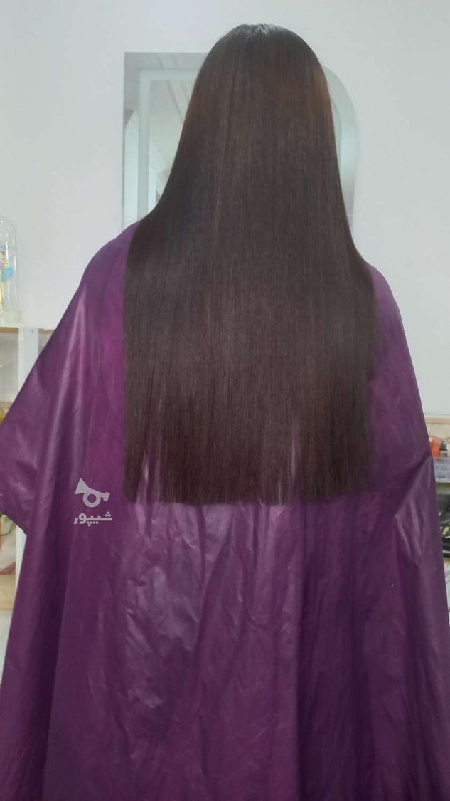 کراتین و پروتئین فقط هزینه مواد