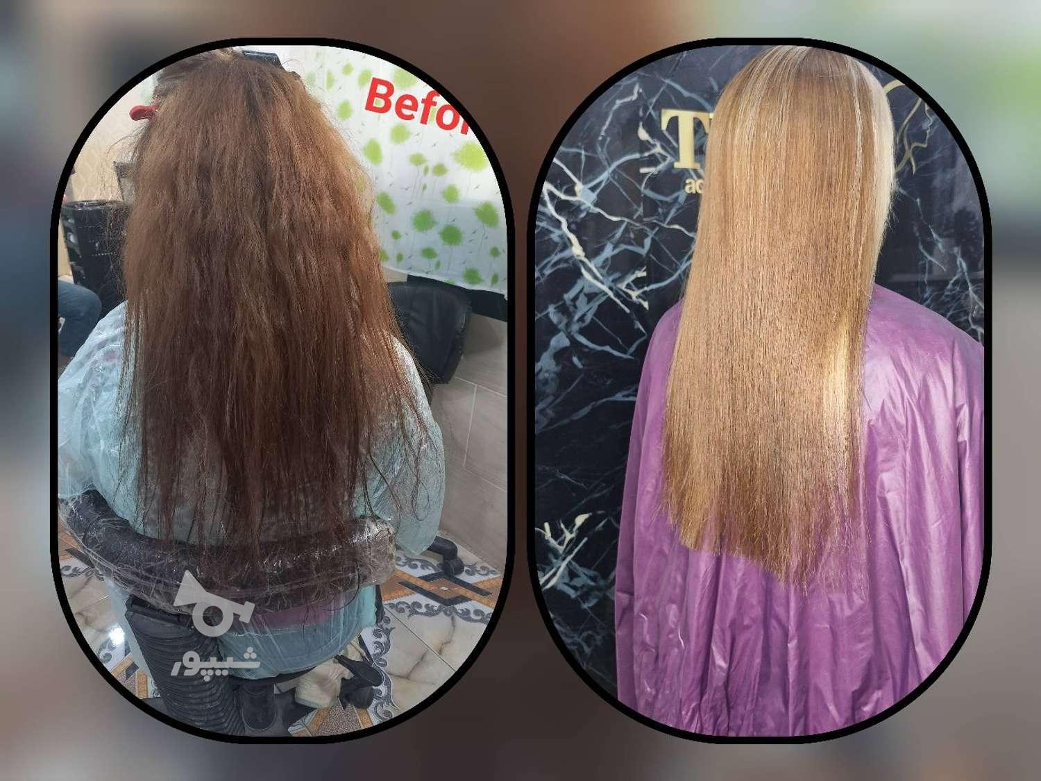 کراتین و پروتئین فقط هزینه مواد