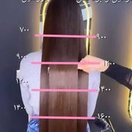 کراتین و پروتئین فقط هزینه مواد