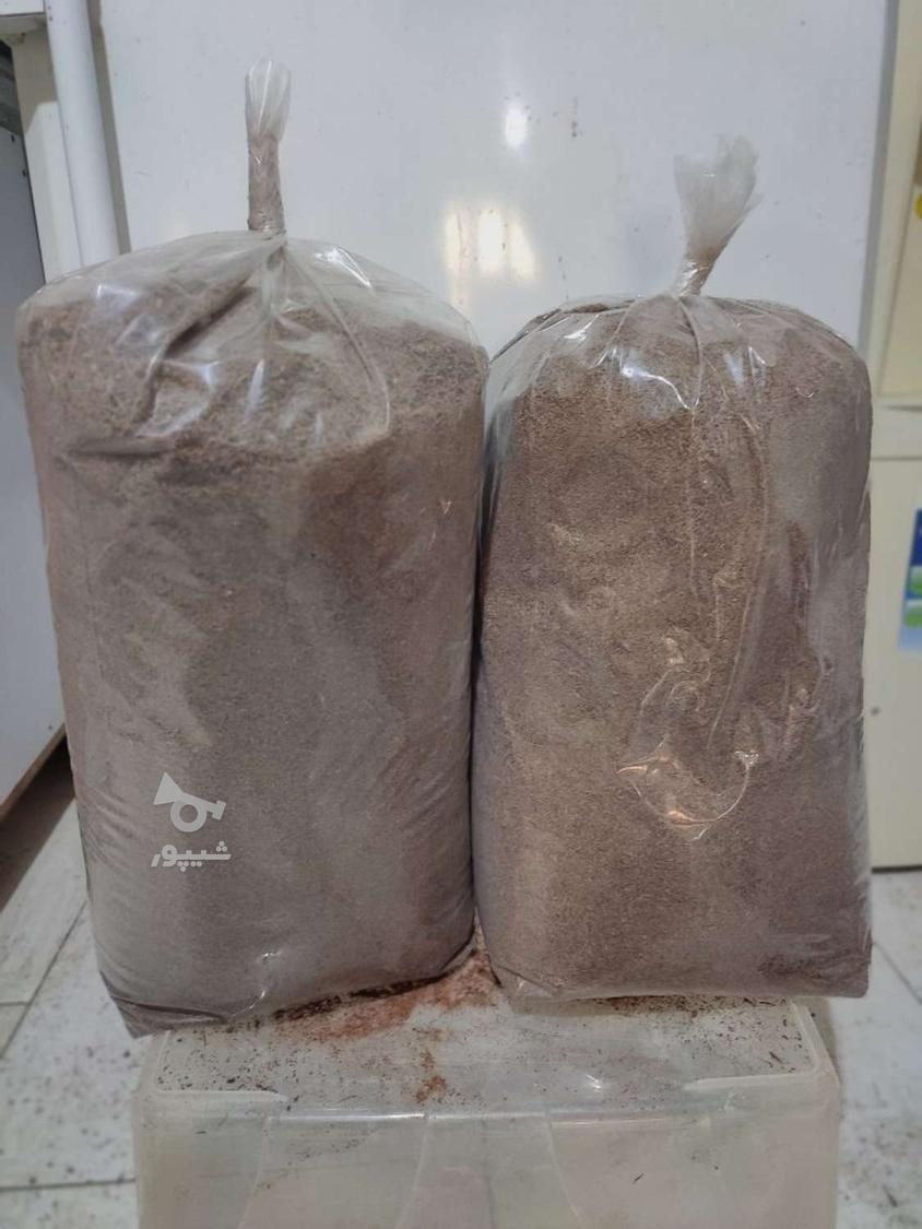 کوکوپیت وکشت حلزون مکمل رشد کلسیم تخم ریزی استارتر