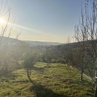 230 متر زمین غیر بافت