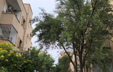 فروش آپارتمان کوی مهندسان