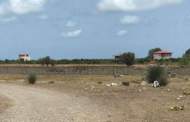 فروش زمین کشاورزی 385 متر در چپکرود