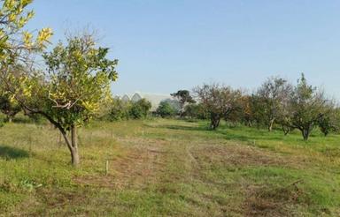 فروش پلاک 500 متر زمین در ابتدای جاده نظامی