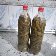 خوردنی اشامیدنی