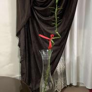 گل بامبو قد 140 شیشه 60 سانت