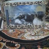 آکواریوم شیشه خم سالم