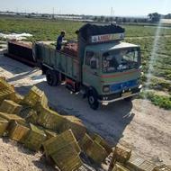 خاور 808 مدل 56.