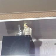 عروس هلندی دستی نر بازیگوش