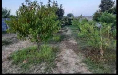 فروش زمین مسکونی 1000 متر در بلوار ساحلی