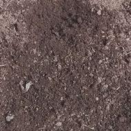 کود گاوی برای اینکه محصو لات سالم و ار گانیک داشته باشید