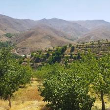 باغ و ویلا بزرگ در روستای سیمین ابرو که یازده هزار