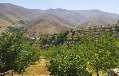 باغ و ویلا بزرگ در روستای سیمین ابرو که یازده هزار