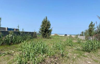 زمین 1000متری پلاک یک شهرک خصوصی محمودآباد