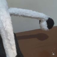 اسکرچر گربه