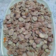 باقالی طارم