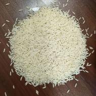 پخش برنج دوبار کشت (شمال)