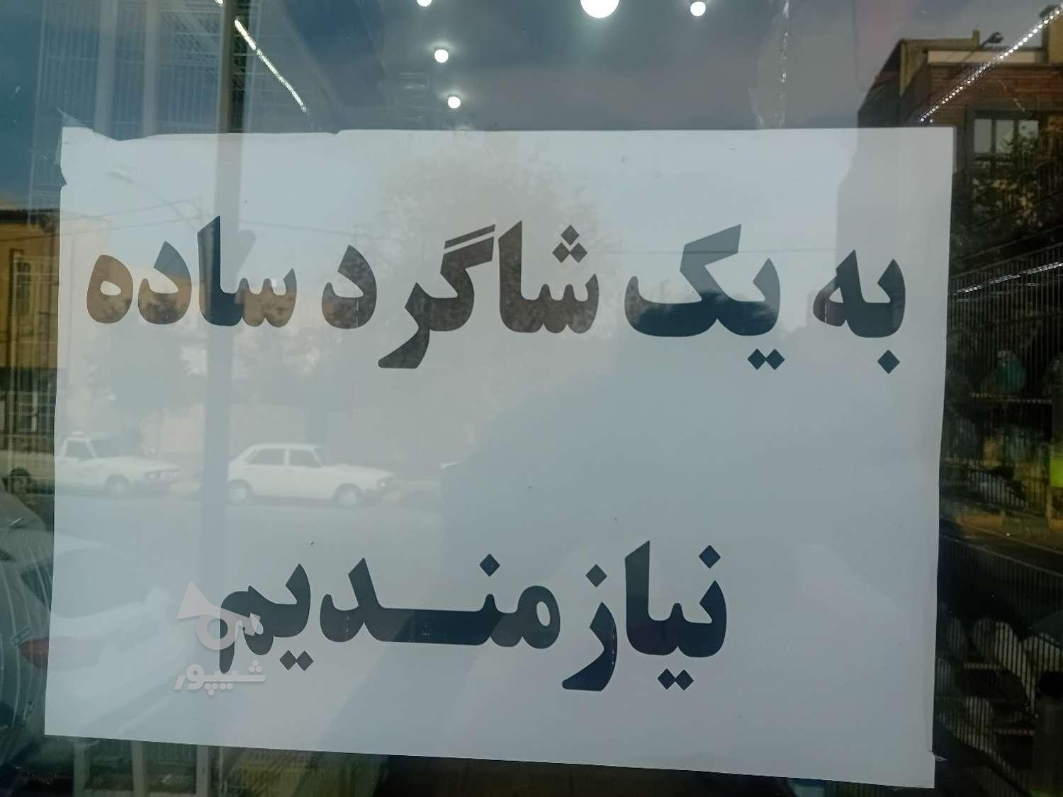 سلام به یک شاگرد ساده نیازمندیم برای پرنده فروشی - undefined