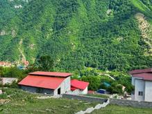 فروش زمین مسکونی 813 متر در جاده دو هزار در شیپور