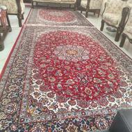 یک جفت فرش سالم