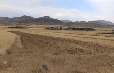 هزار متر زمین