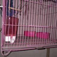 فروش قفس پرنده