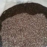 فروش بزرک سیاه تمیز