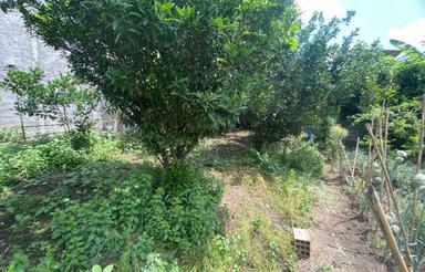 فروش زمین مسکونی 152 متر در شاه محله یاس 11