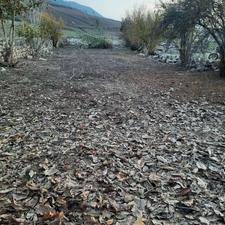 360 متر زمین باغی فوری