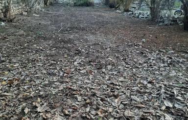 360 متر زمین باغی فوری