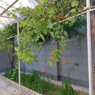 فروش خانه یامچی