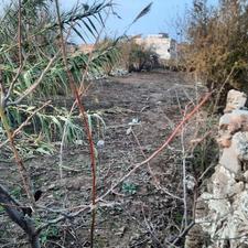 360 متر زمین کشاورزی