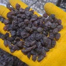 کشمش درجه یک