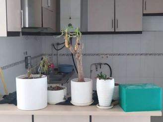 63متر میدان سپاه