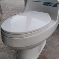 توالت فرنگی سالم درحد