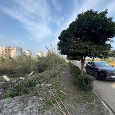 فروش زمین مسکونی 201 متر در علی آباد میر