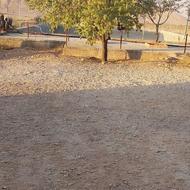 فروش 10 هکتار زمین کشاورزی( باغی )