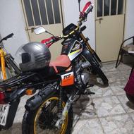 تریل پیشرو گلدxl طلا