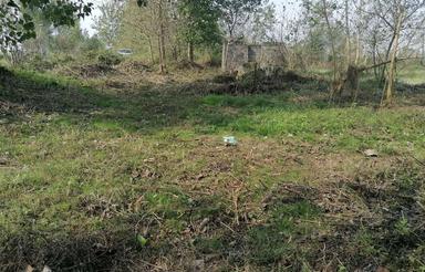 زمین سند دار روستایی در گیلان-آستانه اشرفیه