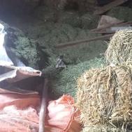 ینجه پرس وگل ینجه چین4