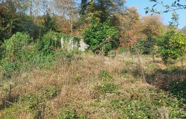 زمین باغی مستثنیات با چشمه آب قیمت خوب