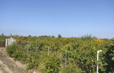 زمین باغ دارای برق سه فاز و آب و گاز در دسترس