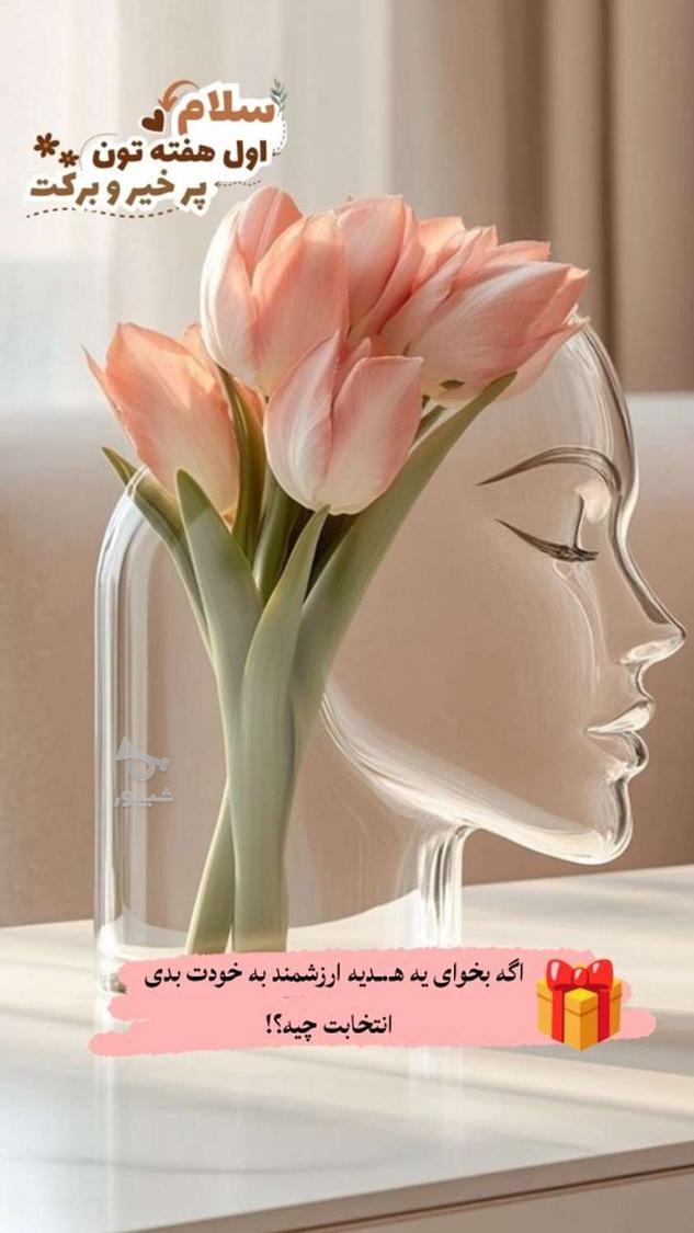 ادمین هستم - undefined