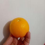 نارنگی پرتقال