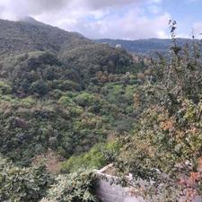 فروش ویلا 900 متری در رامسر با ویو ابدی جنگل و دریا