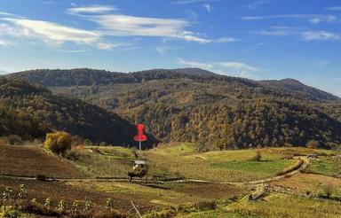 فروش 1000متر‌ زمین ساری دودانگه