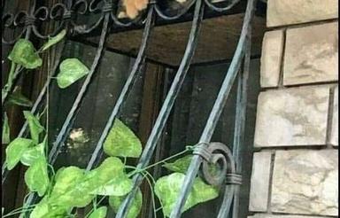 ویلا 200 متر سند تک برگ