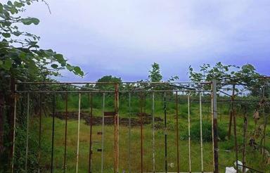 زمین باغت درلیسار