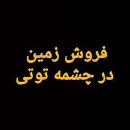 فروش یا معاوضه دو دانگ زمین در چشمه توتی صفه