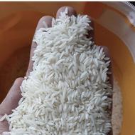 برنج طارم هاشمی کشت اول درجه یک